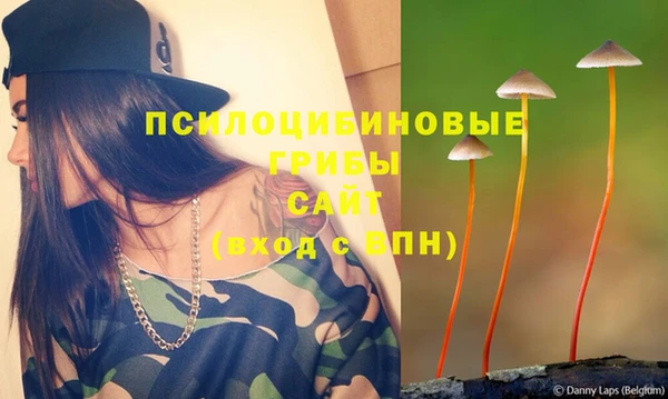 прущие крисы Кукмор