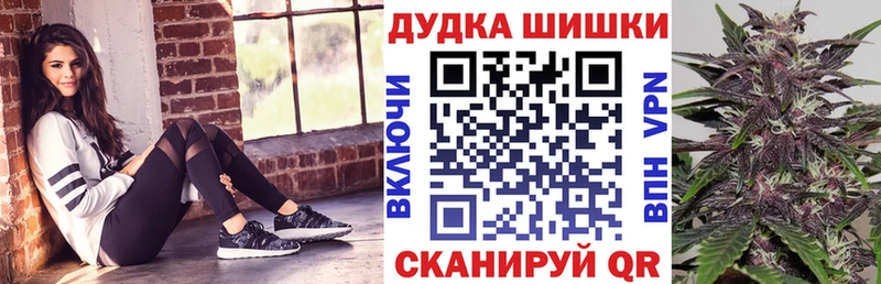 Конопля SATIVA & INDICA  Купить закладки  Нюрба 